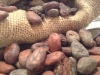 0314_nestle_chocolat_09
