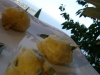 0112_RecetteBeignets_SaugeMozza5