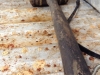0115_RecolteCidre_24
