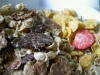 1110_NestlePlus_5
