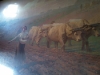 1211_PrixExcellence_ConcoursGeneralAgricole4
