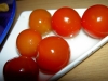 qhuick_tomatoes5.jpg