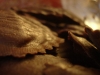 0510_TortelliChocolatRana03