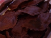0510_TortelliChocolatRana04