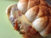 0513_BurgerCharal_Spicy_6