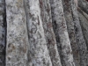 0911_tarnGaronne_11