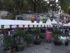 0911_tarnGaronne_12
