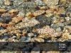 1210_TerresEau2