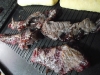 0112_Viande_Zebre_4