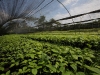 Vittel_Amazonie10