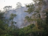 Vittel_Amazonie12