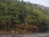 Vittel_Amazonie13