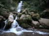 Vittel_Amazonie14