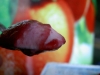 1108_andros_yaourtfruits_5.jpg