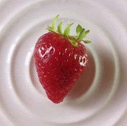 0716_fraise